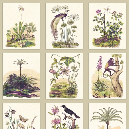 Casadeco Herbarium Beige Encyclopedia