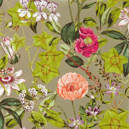 Golgotavirág mintás, színes design tapéta.Pink virágokkal. Clarke & Clarke PASSIFLORA MULBERRY/GILVER  W0143/03